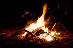 Warming night fire Stock Photos Warming night fire Stock Photos