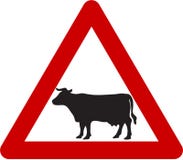Warning sign with cattle on road Stock Photo Warning sign with cattle on road Stock Photo