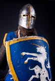 Warrior With Shield Stock Image