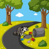 Waschbär, der Abfall im Park sucht lizenzfreie abbildung Waschbär, der Abfall im Park sucht lizenzfreie abbildung