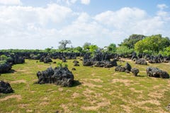 Wasini-Insel in Kenia lizenzfreie stockbilder Wasini-Insel in Kenia lizenzfreie stockbilder