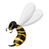 Wasp needle icon, cartoon style royalty free illustration Wasp needle icon, cartoon style royalty free illustration