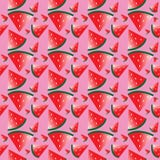Wassermelonenmuster Stockbild Wassermelonenmuster Stockbild