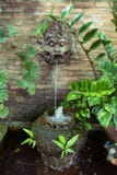 Wasserspraydrache stockfotos Wasserspraydrache stockfotos