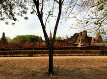 WAT MAHATHAT TEMPLE. temple containing Buddha relics. Ayutthaya. stock photos WAT MAHATHAT TEMPLE. temple containing Buddha relics. Ayutthaya. stock photos