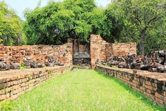 Wat Phra Ram Ayutthaya, Thailand royaltyfria foton Wat Phra Ram Ayutthaya, Thailand royaltyfria foton