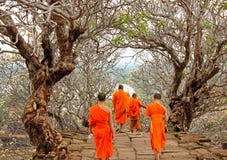 wat phu монахов Лаоса