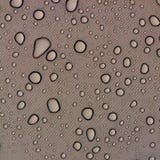 Water Drops On Fabric Stock Image