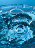 Water figure of fish Royalty Free Stock Image Water figure of fish Royalty Free Stock Image