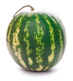 Water Melon Stock Photos