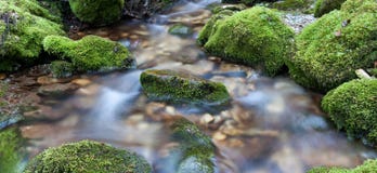 Water Over Rocks Royalty Free Stock Photography Water Over Rocks Royalty Free Stock Photography
