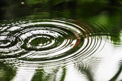 Water ripple into waves circles spread out it is caused by water droplets. stock image Water ripple into waves circles spread out it is caused by water droplets. stock image