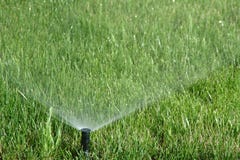 Water Sprinkler Showering Grass Stock Image