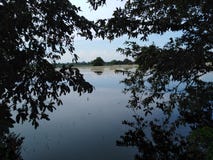Water in between two trees dark water royalty free stock photos Water in between two trees dark water royalty free stock photos