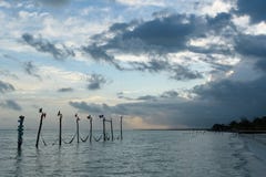 In-water επιστολές Holbox με τις αιώρες στοκ φωτογραφίες με δικαίωμα ελεύθερης χρήσης In-water επιστολές Holbox με τις αιώρες στοκ φωτογραφίες με δικαίωμα ελεύθερης χρήσης