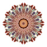 Watercolor abstract mandala. Circular pattern of feathers isolated on white background. royalty free illustration Watercolor abstract mandala. Circular pattern of feathers isolated on white background. royalty free illustration