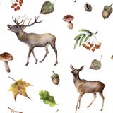 Watercolor autumn forest seamless pattern. Hand painted ornament with deers, rowan, mushrooms, acorn, fall leaves Stock Photos Watercolor autumn forest seamless pattern. Hand painted ornament with deers, rowan, mushrooms, acorn, fall leaves Stock Photos