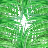 Watercolor background framing of fresh green grass vector illustration Watercolor background framing of fresh green grass vector illustration