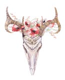 Watercolor bohemian boho deer skull. Western mammals. vector illustration Watercolor bohemian boho deer skull. Western mammals. vector illustration