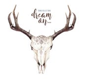 Watercolor bohemian cow skull and tropic palm leaves. Western deer mammals. Tropical deer boho decoration print antlers royalty free illustration Watercolor bohemian cow skull and tropic palm leaves. Western deer mammals. Tropical deer boho decoration print antlers royalty free illustration