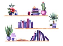 Watercolor bookshelves with cute decorative stuff on white background. Three wooden shelves with home plants in colorful pots,
