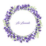 Watercolor Border In Retro Style With Violet Lavander Royalty Free Stock Photo