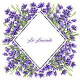 Watercolor Border In Retro Style With Violet Lavender Flowers And Leaves Royalty Free Stock Images