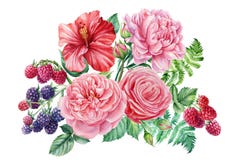 Watercolor bouquet. Raspberry, blackberry, rose, hibiscus and peony flowers, botanical illustration, floral decoration