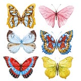 Watercolor butterflies stock illustration Watercolor butterflies stock illustration