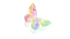 Watercolor butterfly. tropical insect for design. isolated on white background