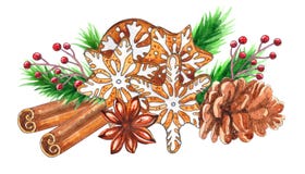 Watercolor Christmas spices isolated on white background royalty free illustration Watercolor Christmas spices isolated on white background royalty free illustration