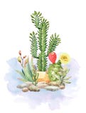 Watercolor collection cactus cacti and succulents in stones. Garden arrangement. stock illustration Watercolor collection cactus cacti and succulents in stones. Garden arrangement. stock illustration