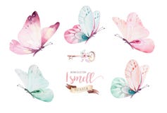 Watercolor colorful butterflies, isolated on white background. blue, yellow, pink and red butterfly illustration.
