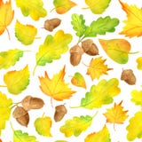 Watercolor Colorful Yellow Autumn Leaves Seamless Pattern. Hand Drawn Illustration With Acorn, Maple, Alder, Oak Leaf On Royalty Free Stock Image Watercolor Colorful Yellow Autumn Leaves Seamless Pattern. Hand Drawn Illustration With Acorn, Maple, Alder, Oak Leaf On Royalty Free Stock Image