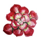 Watercolor Cute Succulent Stock Photos Watercolor Cute Succulent Stock Photos