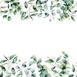 Watercolor different eucalyptus seamless border. Hand painted eucalyptus branch and leaves isolated on white background