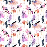 Watercolor Flamingo Seamless Pattern Isolated On The White Background Stock Image
