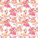 Watercolor Flamingo Seamless Pattern Isolated On The White Background Royalty Free Stock Photos
