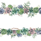 Watercolor floral banner with succulents, tree branch and eucalyptus. Hand painted cacti, eucalyptus leaves and branches