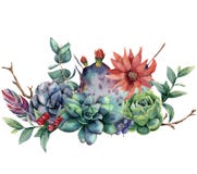 Watercolor floral bouquet with cactus and flower. Hand painted opuntia, succulent, berries, feathers, eucalyptus leaves