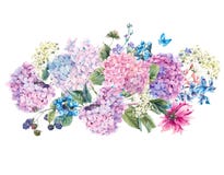 Watercolor Floral bouquet with Hydrangea royalty free illustration Watercolor Floral bouquet with Hydrangea royalty free illustration