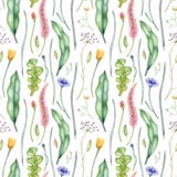 Watercolor floral pattern with wildflowers and herbs. Hand drawn botanical illustration. Stock Illustration Watercolor floral pattern with wildflowers and herbs. Hand drawn botanical illustration. Stock Illustration