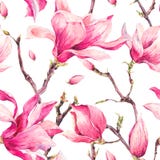 Watercolor Floral Spring Seamless Pattern with Magnolia royalty free illustration Watercolor Floral Spring Seamless Pattern with Magnolia royalty free illustration