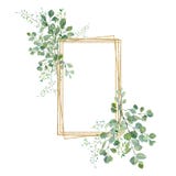 Watercolor green floral frame with eucalyptus leaves and branches on golden frame. Bridal shower card, baby nursery decor