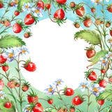 Watercolor greeting card, invitation with a plant strawberry. Blossoming bush with a red berry and flower. stock illustration Watercolor greeting card, invitation with a plant strawberry. Blossoming bush with a red berry and flower. stock illustration