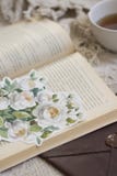 Garden roses flower painted with watercolor, paintbrush, around the books and tea.