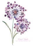 Watercolor illustration flower bouquet in simple background