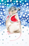 Watercolor illustration of a rat in a winter forest. Dressed in Christmas coat and hat with earflaps. Symbol of 2020 royalty free stock photography Watercolor illustration of a rat in a winter forest. Dressed in Christmas coat and hat with earflaps. Symbol of 2020 royalty free stock photography