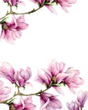 Watercolor magnolia and leaves vertical card. Hand painted border with flowers on branch isolated on white background royalty free stock image Watercolor magnolia and leaves vertical card. Hand painted border with flowers on branch isolated on white background royalty free stock image