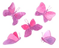 Watercolor Pink Flying Butterflies Set. Hand Drawn Colorful Violet Fairy Moths Isolated On White Background. Colorful Illustration Stock Images Watercolor Pink Flying Butterflies Set. Hand Drawn Colorful Violet Fairy Moths Isolated On White Background. Colorful Illustration Stock Images